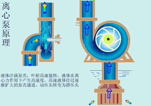 給(gei)水泵、給(ji)水泵別再傻傻分不清楚(內(nèi)含動畫)- 給(gei)水泵、給(ji)水泵別再傻傻分不清楚(內(nèi)含動畫)-