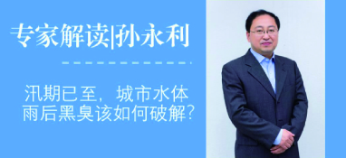 汛期已至，城市水體雨后黑臭問題該如何破解？